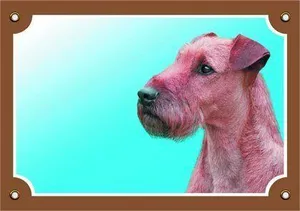 Farbschild Achtung Hund, Irish Terrier